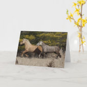 Carte Deux Chevaux De Courbe Bachkir Couchant Ensemble (Fleur jaune)