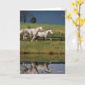 Carte Deux Chevaux Percheron Gris Dapple Courant (Fleur jaune)