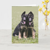 Carte Deux chiots de berger allemand (Fleur jaune)