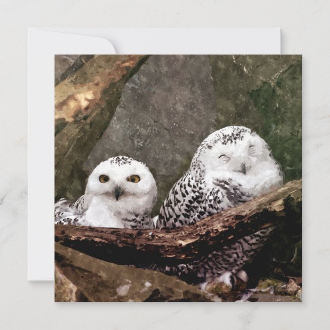 Carte Deux Chouettes (Devant)