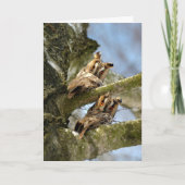 Carte Deux Chouettes dans les Bois, oiseaux, faune Acryl (Devant)