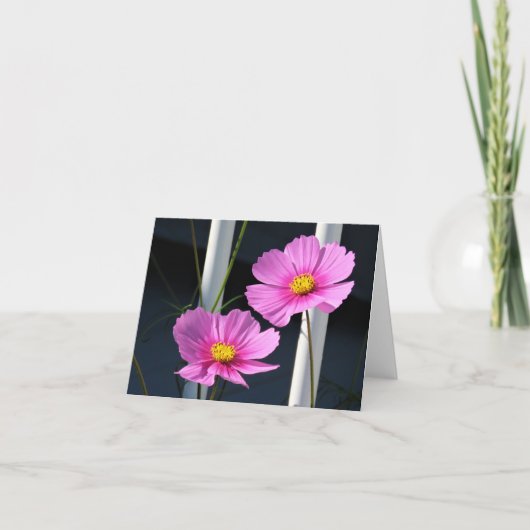 Carte Deux Cosmos roses à travers la rampe (Devant)