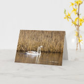 Carte Deux Cygnets À La Fin De L'Automne (Fleur jaune)