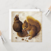 Carte Deux écureuils rouges (par Albrecht Dürer) (Devant/Arrière en situation)