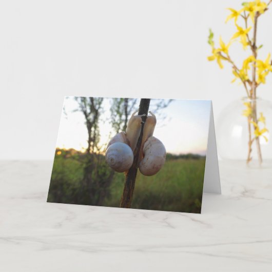 Carte Deux escargots sur une tige (Fleur jaune)