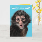 Carte Deux expressions amusantes du singe surpris (Fleur jaune)