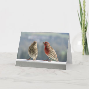 Carte Deux Finches Flirtent.