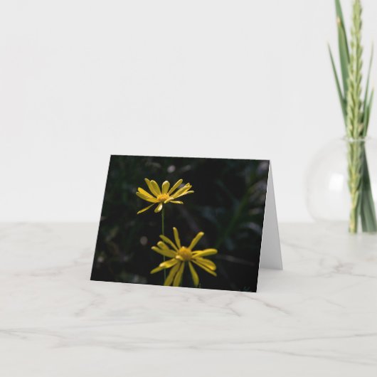 Carte Deux fleurs de marguerite (Devant)