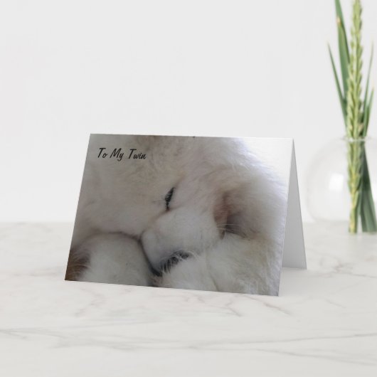 CARTE DEUX FOIS JE SOUHAITE QUE TU SOIS HEUREUX D'ANNIVE (Devant)