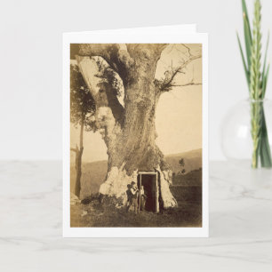 Carte Deux garçons à la porte de leur cabane dans un