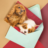 Carte Deux Meilleurs Amis CKCS Ruby Et Blenheim Card