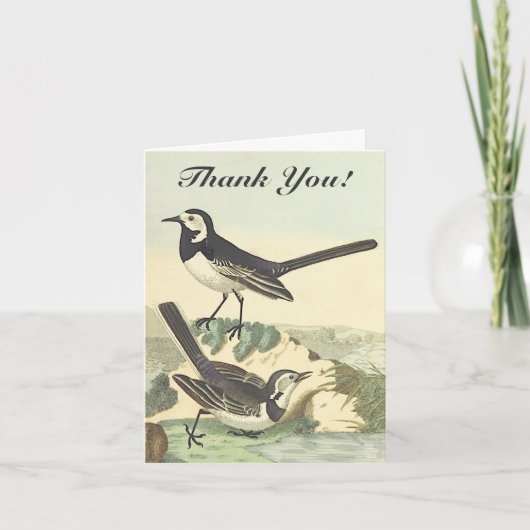 Carte Deux Oiseaux, Vintage, "Merci !" (Devant)
