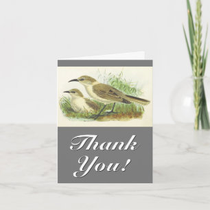 Carte Deux Oiseaux, Vintage, "Merci !"