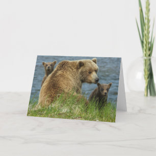 Carte Deux oursons bruns avec leur mère au bord de l'eau