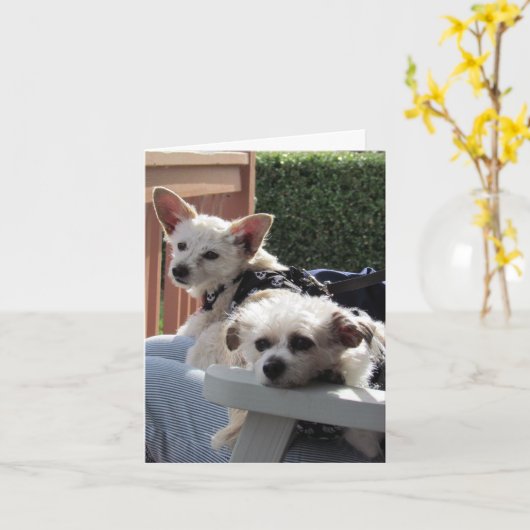 Carte - Deux Pals (Fleur jaune)