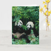 Carte Deux pandas mangeant le bambou ensemble, Wolong, 2 (Fleur jaune)