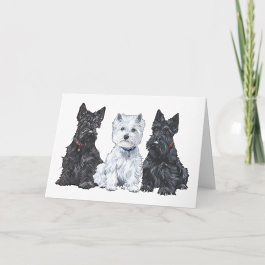 Carte Deux Scotties et un Westie (Devant)