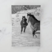 Carte Deux Stallions à Snow (Intérieur)