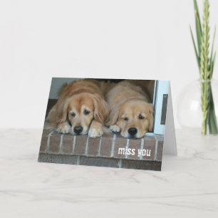 Carte Deux Tristes Chiens De Retriever D'Or Vous Manquen