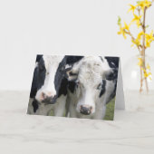 Carte Deux vaches cherchent pour dire bonjour. (Fleur jaune)
