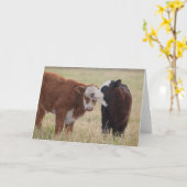 Carte Deux vaches étourdissantes (Fleur jaune)
