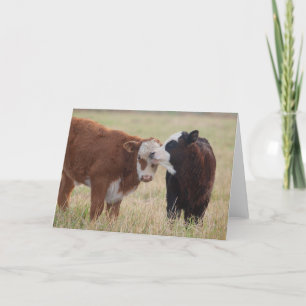 Carte Deux vaches étourdissantes