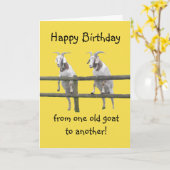 Carte Deux vieilles chèvres (Fleur jaune)