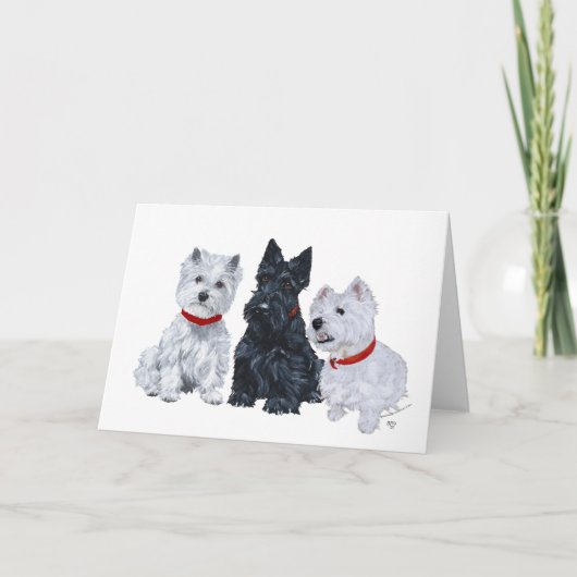 Carte Deux Westies et un Scottie (Devant)