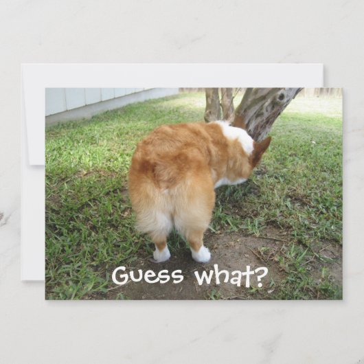 Carte Devinez Ce Corgi Butt Funny Dog Lover (Devant)