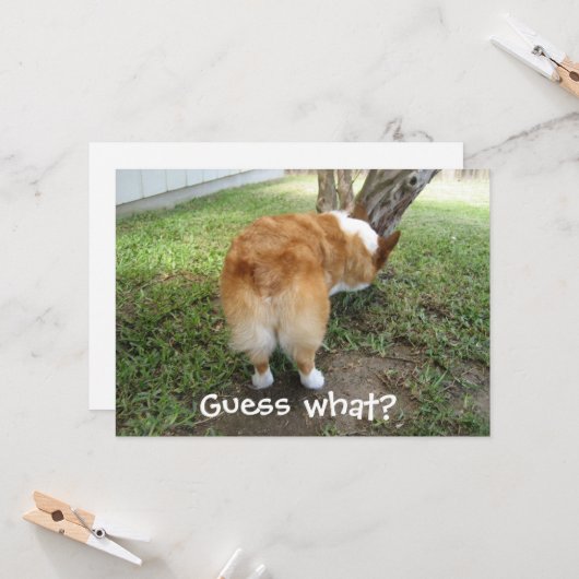 Carte Devinez Ce Corgi Butt Funny Dog Lover (Devant/Arrière en situation)
