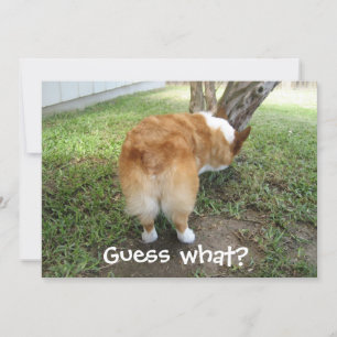 Carte Devinez Ce Corgi Butt Funny Dog Lover