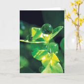 Carte Dew Baisse sur les pétales verts Nature paisible (Fleur jaune)