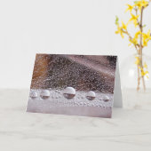 Carte Dew Drop Yin Yang Histoires dans la nature (Fleur jaune)