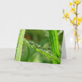 Carte Dew Drops sur Green Grass Poetry of Nature (Fleur jaune)