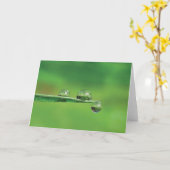 Carte Dew Drops sur Green Grass Poetry of Nature (Fleur jaune)