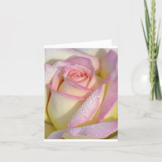 Carte Dewey Rose