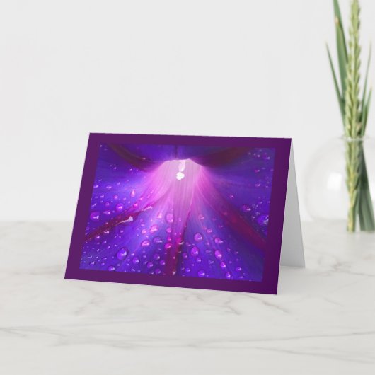 Carte Dewy Morning Glory Blank (Devant)