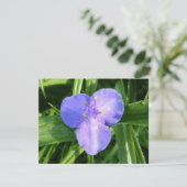 Carte Dewy Trillium Spring Wildflower (Debout devant)