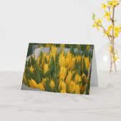 Carte d'excuses (Fleur jaune)