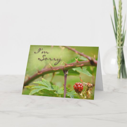 Carte d'excuses Désolé d'être fâché (Devant)