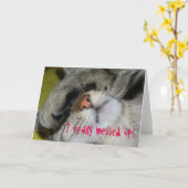 Carte D'Excuses - J'Ai Vraiment Empêché, Chat Emba (Fleur jaune)