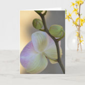 Carte d'expression Orchidée rose (Fleur jaune)
