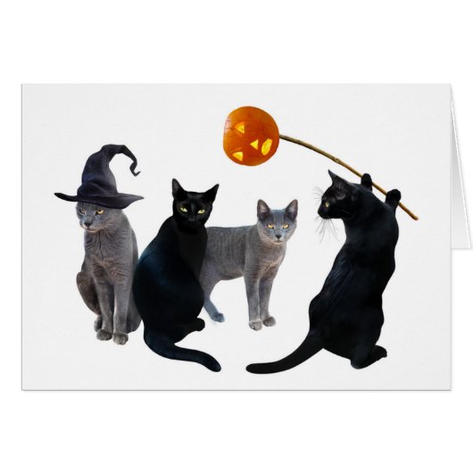Carte d'Halloween Cat Coven (Devant horizontal)