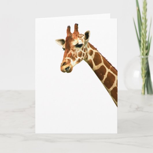 Carte D'haut ici (Devant)