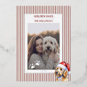 Carte d'huile de canne d'hiver Golden Doodle (Recto)