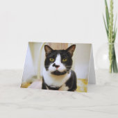 Carte d'humour d'anniversaire de chat de smoking (Dos)