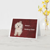 Carte d'Humour d'anniversaire maltaise pour Over t (Fleur jaune)