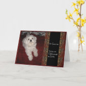 Carte d'Humour d'anniversaire maltaise pour tout a (Fleur jaune)