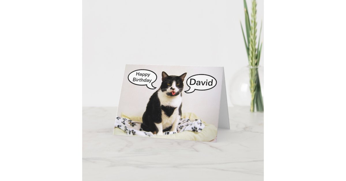 Carte D Humour De David D Anniversaire De Chat De Zazzle Be
