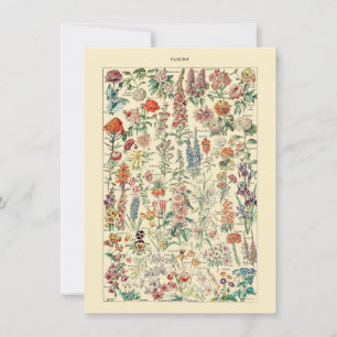 Carte Diagramme de jardinage des Fleurs sauvages botaniq